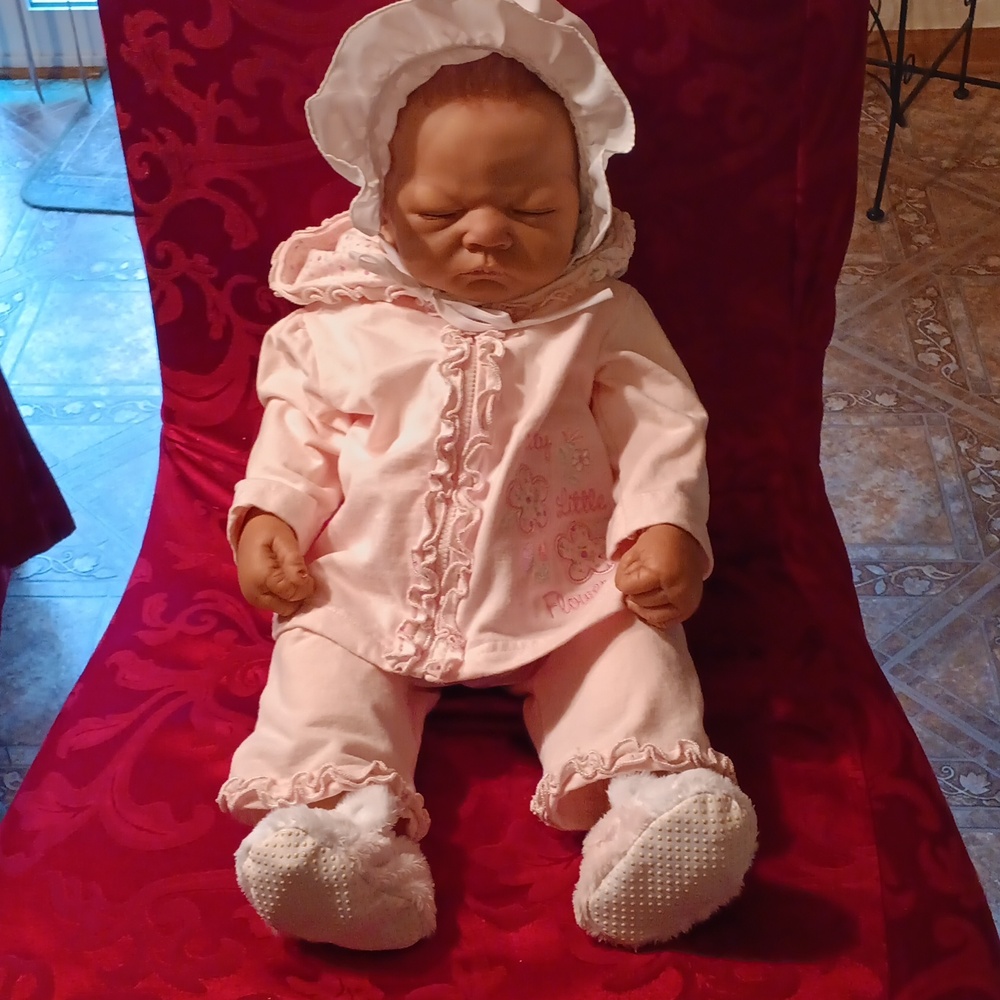 Ashton Drake by Linda Webb "So Truly Real -Welcome Home Emily" vinyl baby doll